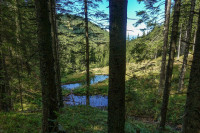 /album/gleinalpe-rossbachkogel-4-september-2025/gleinalpe-rosbachkogel-04-09-2025-4-jpg/